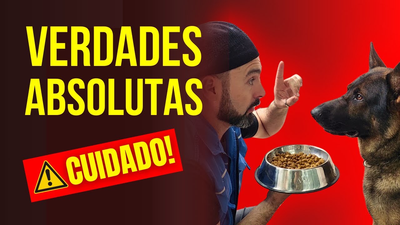 VERDADES a respeito da FORMA CORRETA de ALIMENTAR os cachorros [CUIDADO COM ESSAS "VERDADES"]