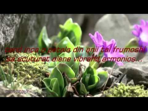 de ziua ta Taniusha!