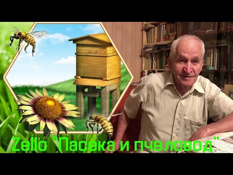 Кашковский В.Г. на Zello "Пасека и пчеловод" 12 апреля 2023 г.