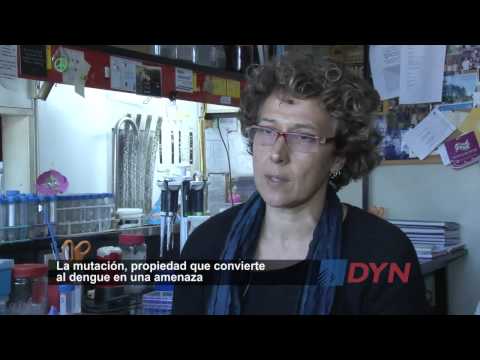 La mutacion: propiedad que convierte al dengue en una amenaza para Argentina