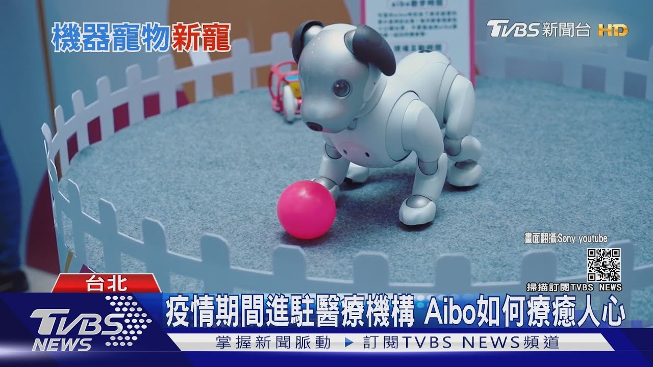 可愛就是正義! 疫情掀機器人「陪伴商機」