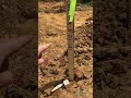 How to read a grade stake #excavator #construction #grading