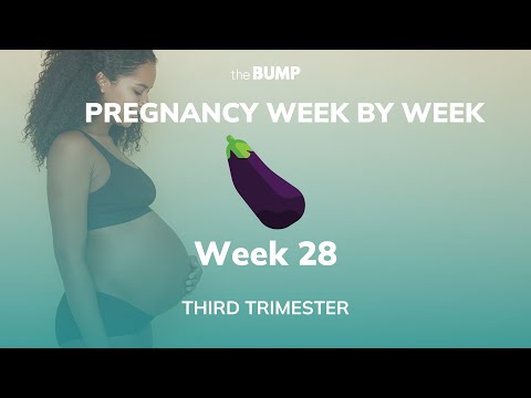This week in Babyland (Week 28)