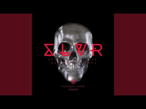Steve Angello - SLVR (Orchestral Intro Edit) [FLAC DL if you ask nicely]