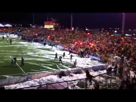 "Campeonato Herediano 2013" Barra: Garra Herediana • Club: Herediano • País: Costa Rica