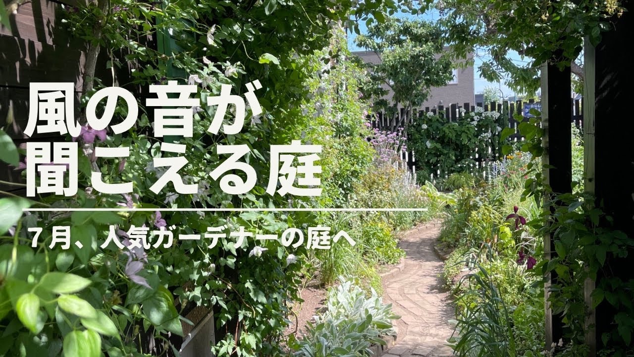 風の音が聞こえる庭