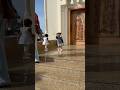 Don T Touch Me MARYAM SISTERS Trendingsong Viralsong Uae Toddlers Trendingshorts Mother Travel