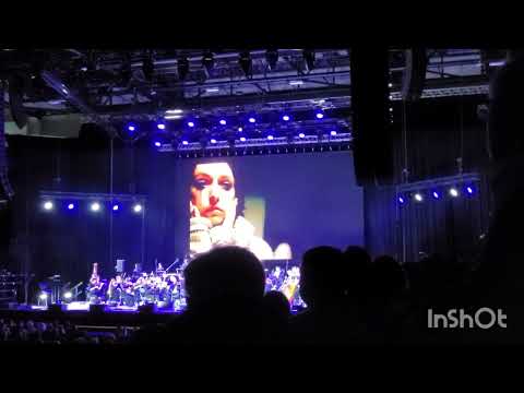 miro žbirka - symphonic night praha 15.12.024 - co bolí to přebolí