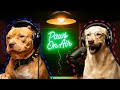 The Mailman Mystery — Dogs Discuss the Truth | Funny Dog Podcast | Paws On Air