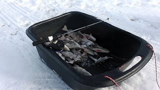 Рыбалка в самарской области зимой на реке сок