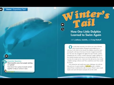 Wonders Grade 5 Winter's Tail