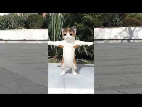 Please reach 100k views