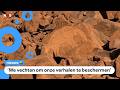 Largest And Oldest Rock Art Potentially Destroyed Australians Angry