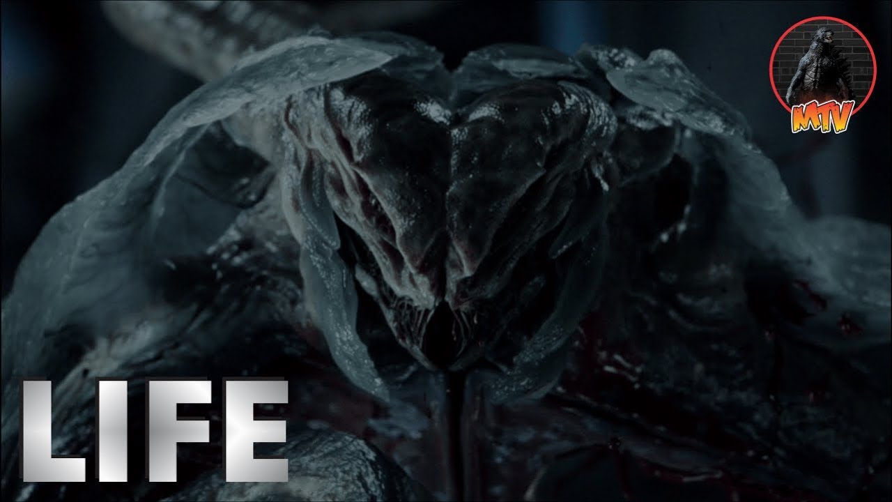 Trailer oficial de Vida