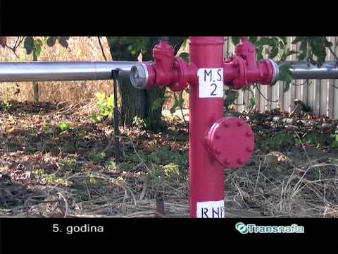 REPORTAZA POVODOM 5 GODINA POSLOVANJA JP TRANSNAFTA 2010  GODINE