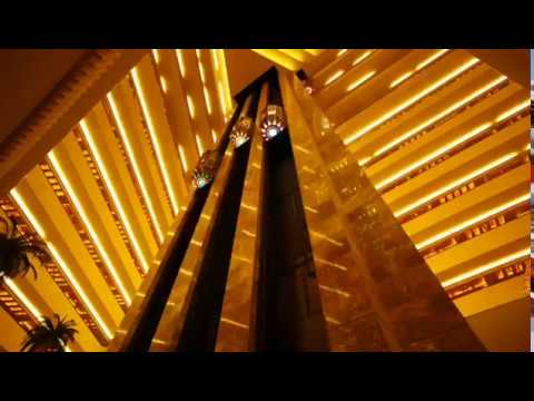 Clipson- Saltfish Freestyle (Lyric Video)