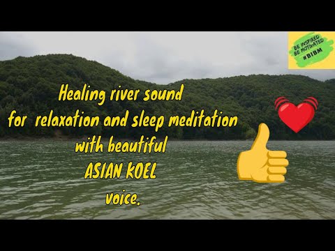 jungle water and koel sounds 3 hour by BIBM Motivationals