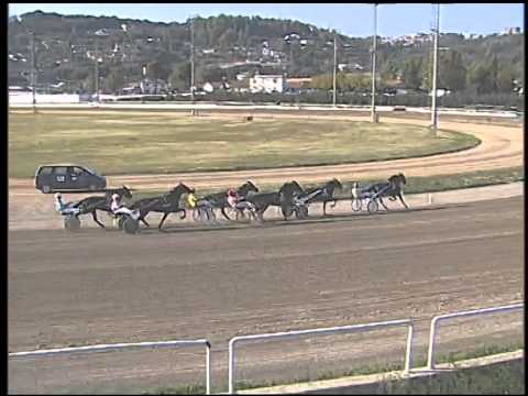 Trotto 09/10/2014 - 3° corsa