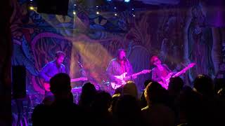 Miniature Tigers - &quot;The Wolf&quot; - Live in Dallas