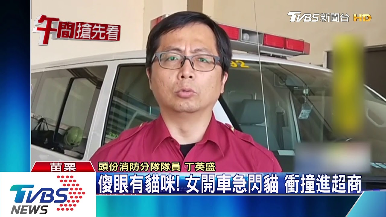 傻眼有貓咪! 女開車急閃貓衝撞進超商