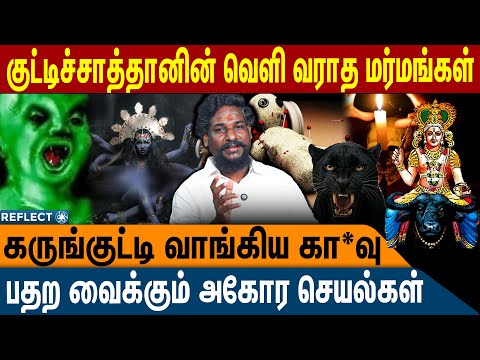 குட்டிச்சாத்தானின் கொ*டூர கா*வு வெளி வராத மர்மங்கள் | NN Chandrakumar | Manthrigam | Seivinai
