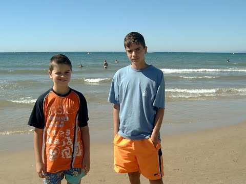 VLAD FLUERARU - GRESELILE LUI VLADUT (VIDEO)