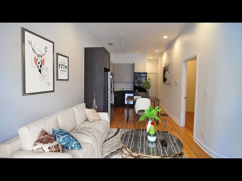 838-Hoyne - Video 2 of 2