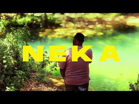 Solomon Plate - NEKA (Visualizer)