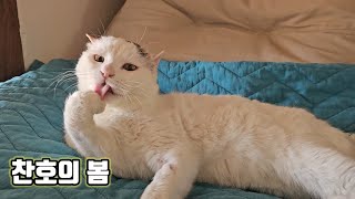 난 너에게 봄을 선물하고 싶다 🌼찬호와 보내는 요즘의 일상