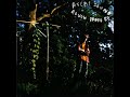 Atlas Sound - Kid Klimax (Acoustic Version)