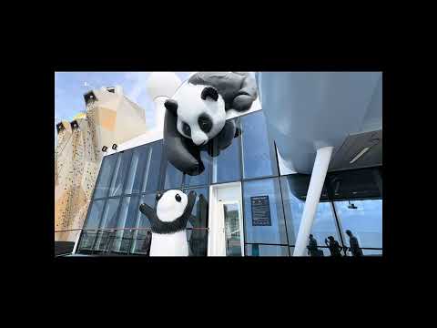 Thumbnail for RCCL Ovation of the Seas review