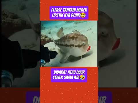 Jutek Beeeettt🤣😂 #shorts