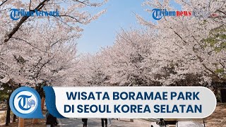 Wisata Boramae Park Taman Rekreasi di Seoul Korea Selatan