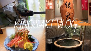 お誕生日の城崎温泉vlog ♨️🕯🧦
