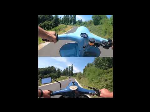 Quattrini M200 wheelie #shorts