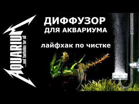 СО2 ДИФФУЗОР для аквариума! ЛАЙФХУК по чистке распылителя!