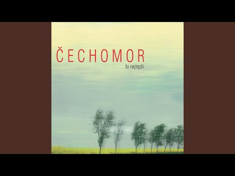 Promeny - Transformations