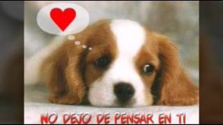 Me gustas me gustas Regulo Caro