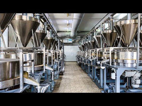 Lebanese HALAWA, Tahini & Raha: Now You Know "How It's Made"