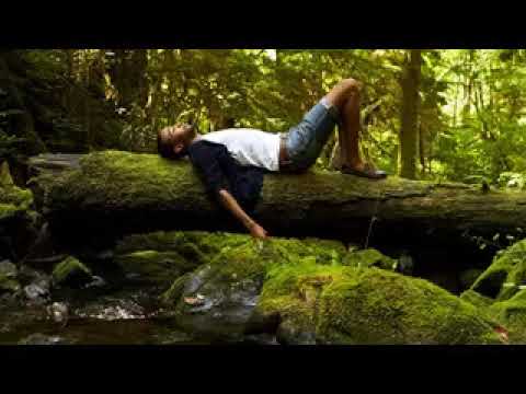 Beautiful Relaxing Music for Stress Relief • Relax, Sleep, Meditate, Study The Best Flute Music Ever