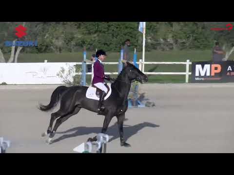 Luciana Diniz - Conchento Ps - Vilamoura Jump off 2020