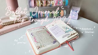 Aesthetic 2022 Bullet Journal Flip Trough