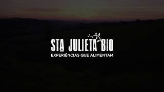 O que é um sistema agroflorestal?