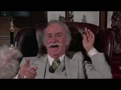 The Best Scene in Shaggy D.A. 1976