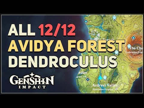 All Avidya Forest Dendroculus Locations Genshin Impact