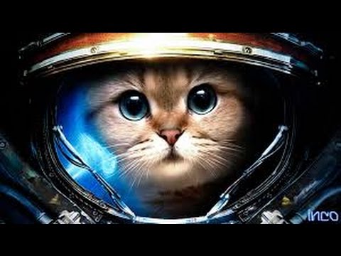 StarCraft 2: Best Terran Strat and Updates!