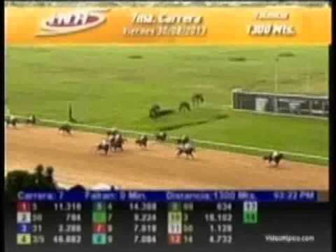 Resumen Viernes, 30 de Agosto de 2013 - Valencia