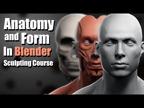Anatomy and Form in Blender - Sculpting Course