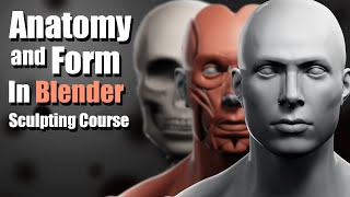 Anatomy and Form video thumbnail