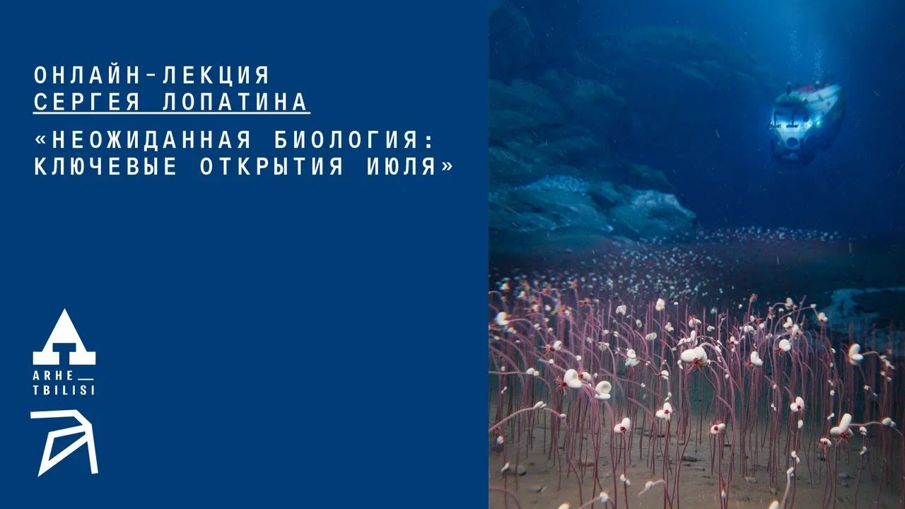 Неожиданная биология: ключевые открытия июля | Сергей Лопатин